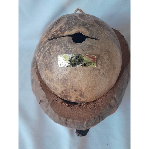 Hand carved Coconut pirate head piggy bank - Picture 2 of 5
